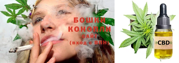 прущие крисы Белокуриха